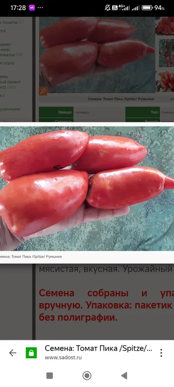 Томат Пика