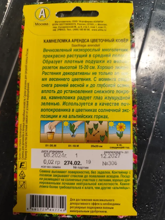 Камнеломка Цветочный ковер
