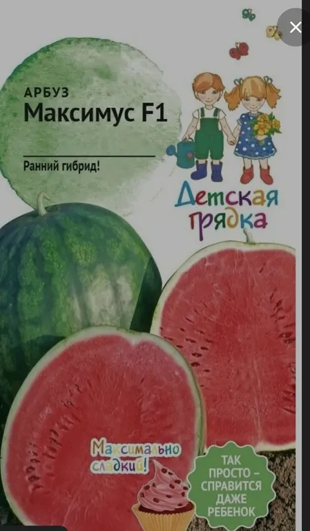 Максимус F1