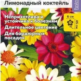 Цинния Захара Лимонадный коктейль