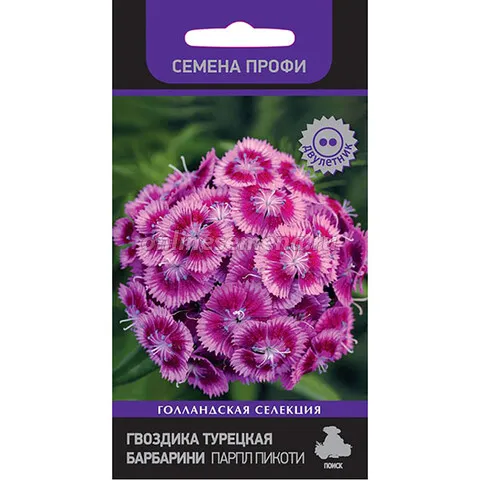 Гвоздика турецкая Барбарини Парпл Пикоти 