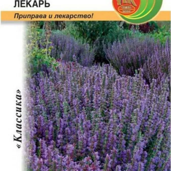 Иссоп лекарственный Лекарь