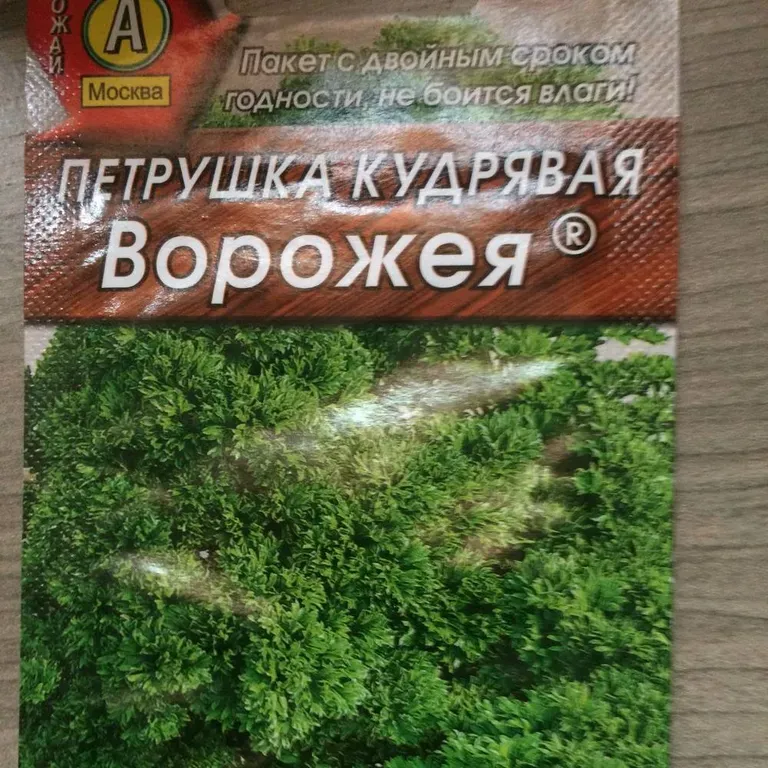 Петрушка кудрявая Ворожея