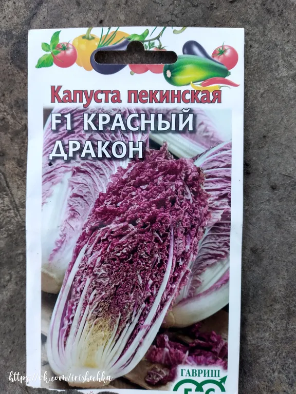 Капуста пекинская Красный дракон F1