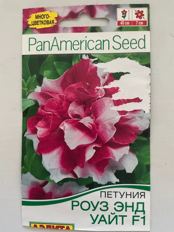 Петуния Роуз энд Уайт F1