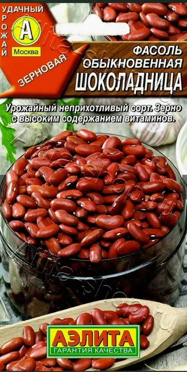 ОБЫКНОВЕННАЯ ШОКОЛАДНИЦА