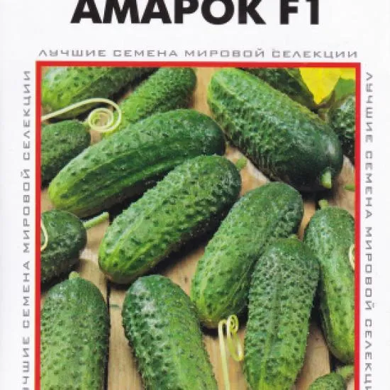 Огурец Амарок F1