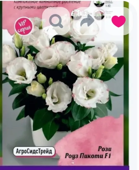 Эустома Рози Роуз Пикоти F1