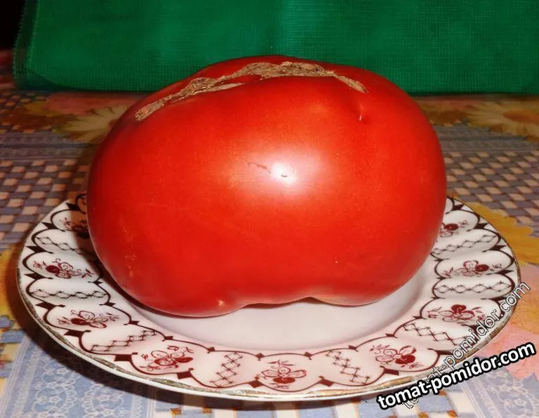 Томат Русь