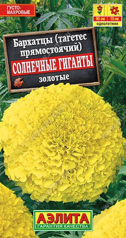 Бархатцы Солнечные гиганты Желтые