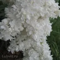 Советская Арктика