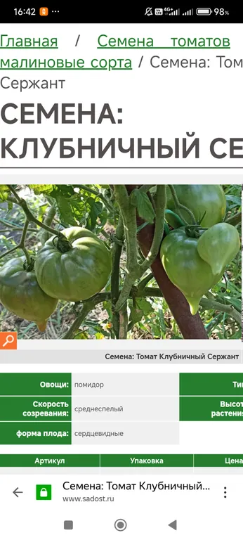 Томат Клубничный сержант