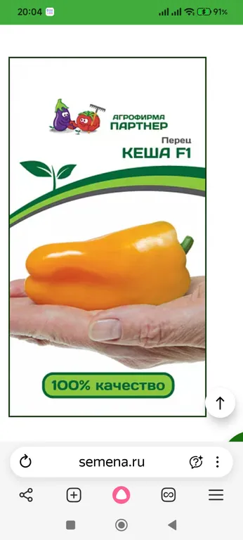 Кеша  F1
