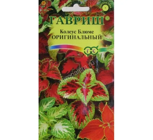Колеус Блюме Оригинальный смесь