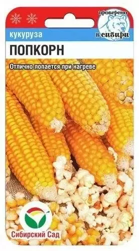 Кукуруза Попкорн (сс)