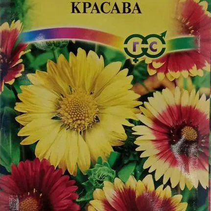 Гайлардия остистая Красава