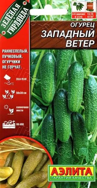 Огурец Западный ветер 