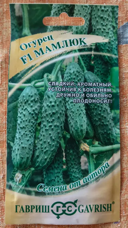 Огурец Мамлюк F1
