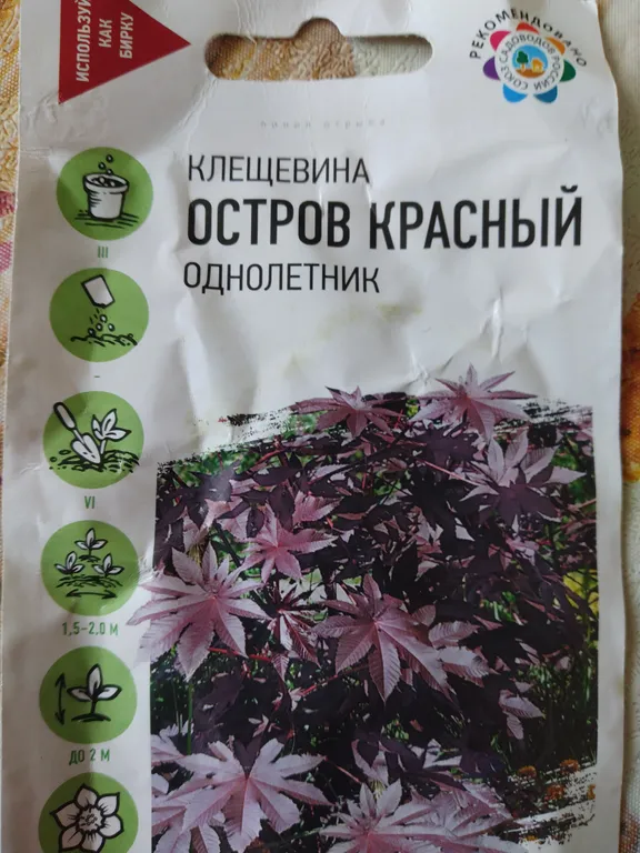 Клещевина Остров красный 
