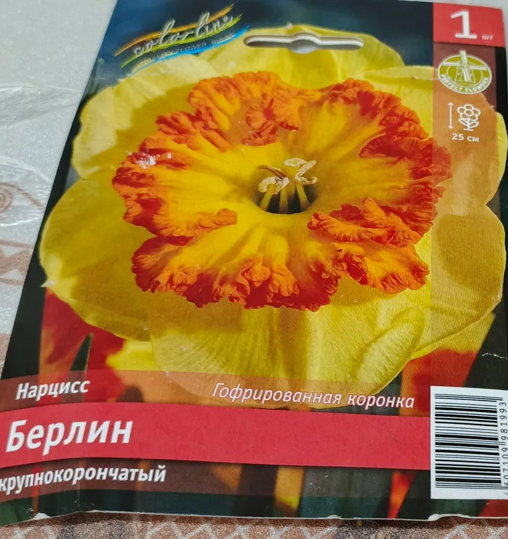 Нарцисс крупнокорончатый Берлин
