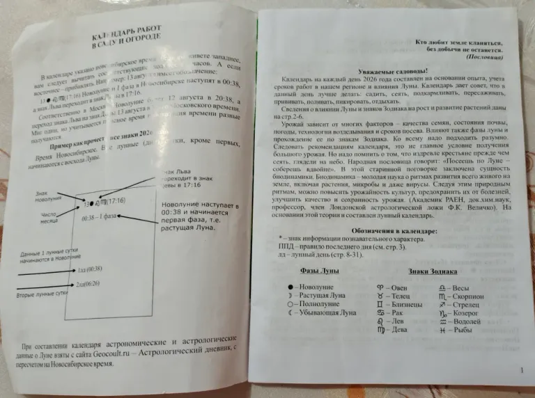 Календарь Кузнецовой Л.К. на 2026 (время новосибирское)