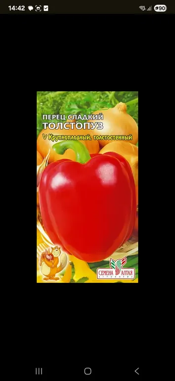 Перец Толстопуз