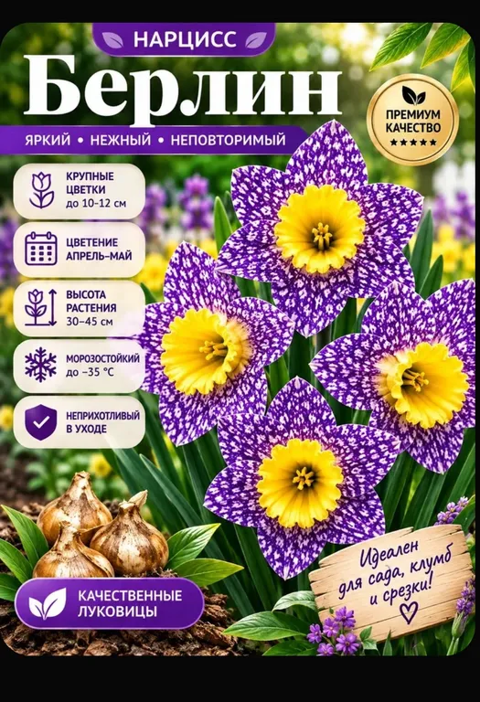 Берлин