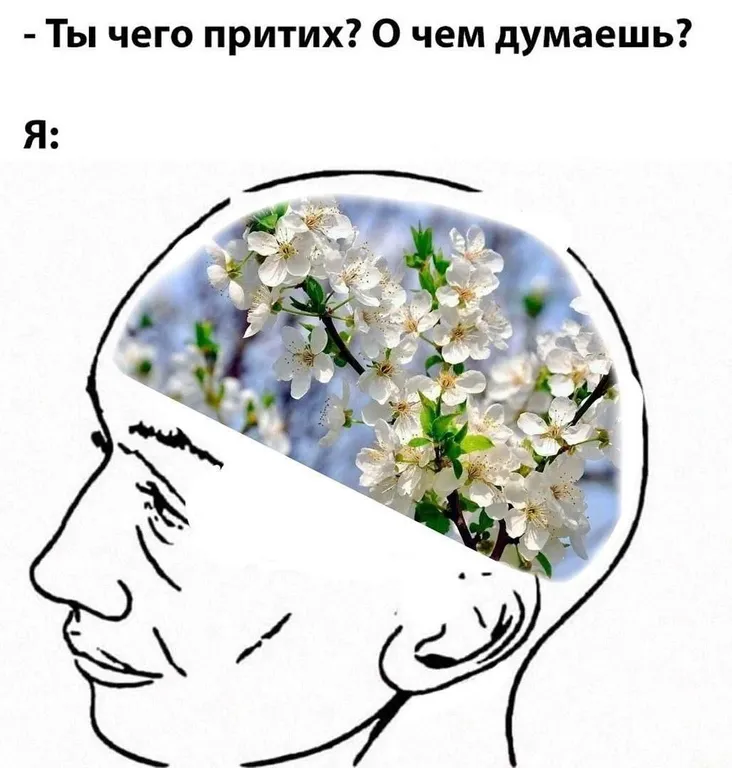 Май головного мозга