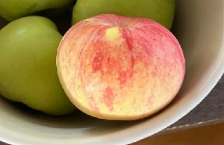 Duchess of Oldenburg