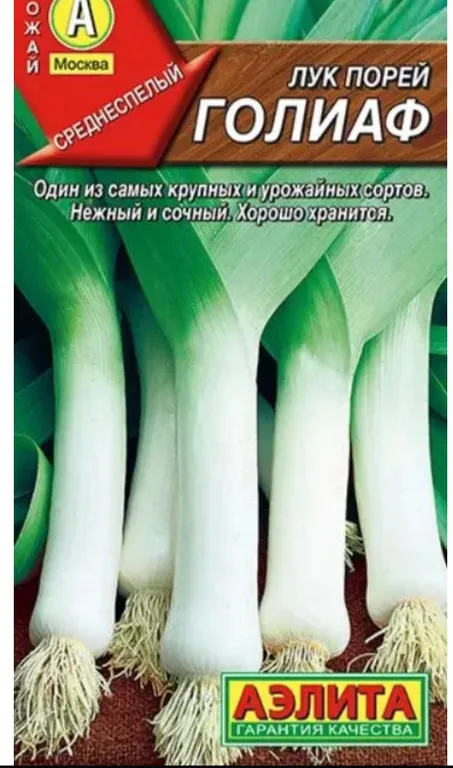 Лук порей Голиаф