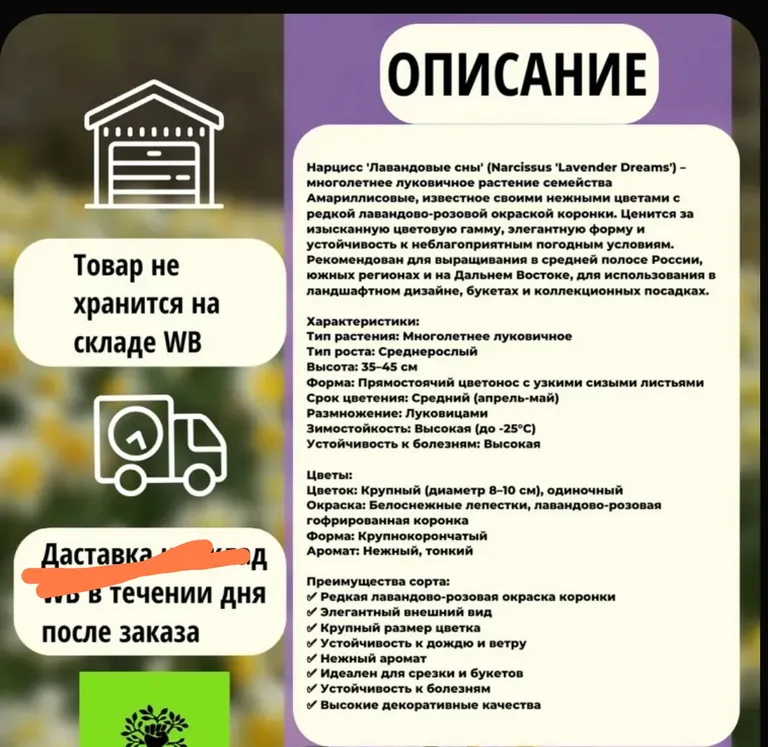 Лавандовые сны, фото 2