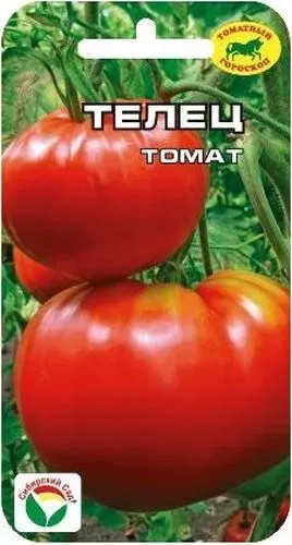 Томат Телец