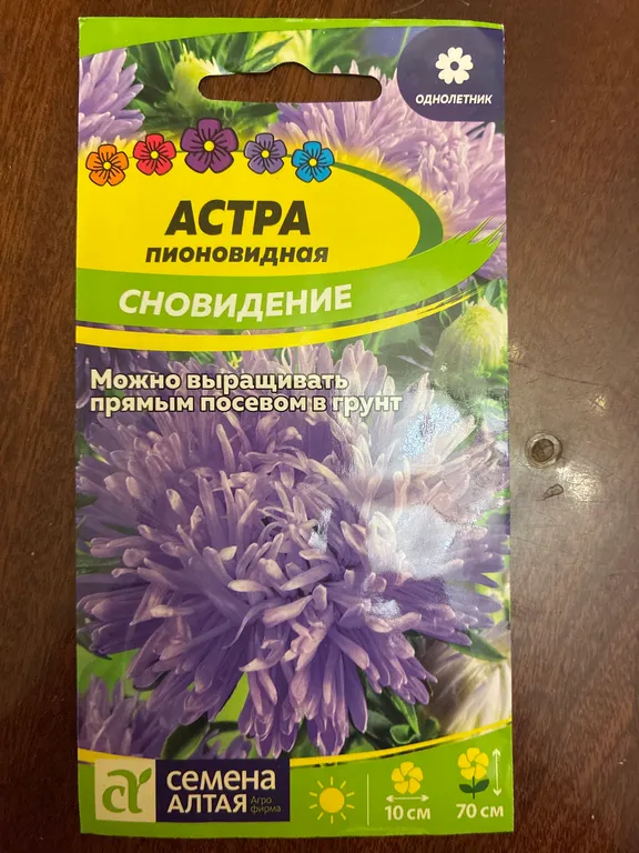 Астра Сновидение