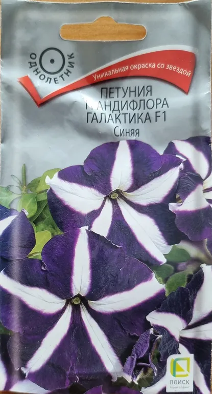 Петуния грандифлора Галактика F1 Синяя
