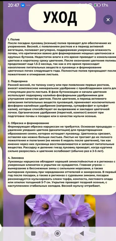Лавандовые сны, фото 4