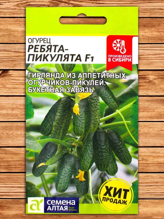 Ребята-Пикулята F1