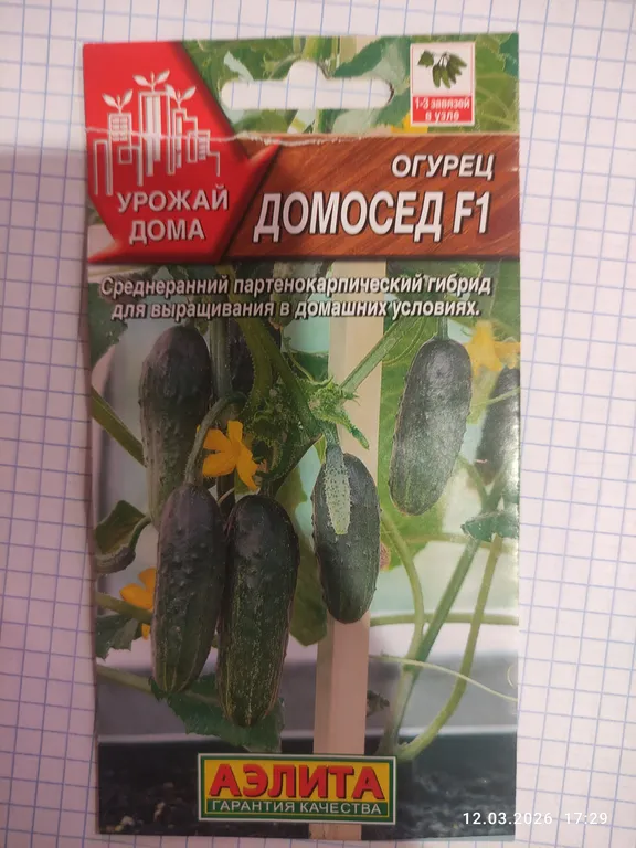 Огурец Домосед F1