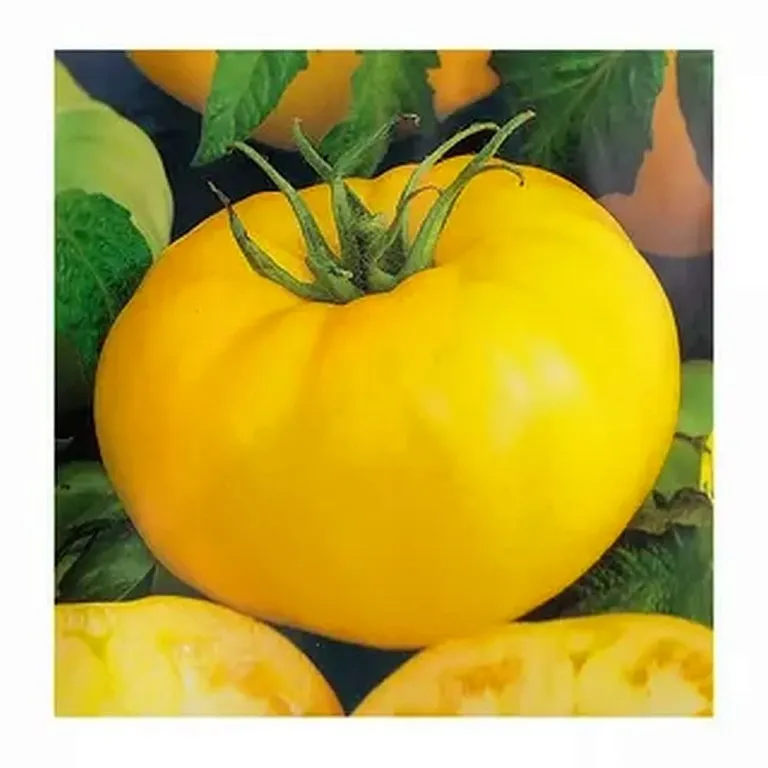 Томат Лимонный король
