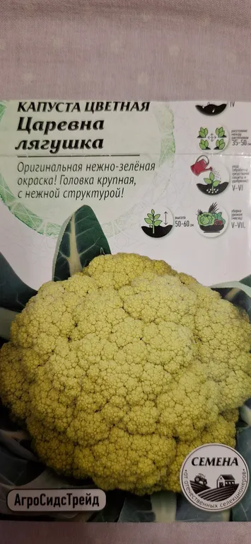 Царевна лягушка