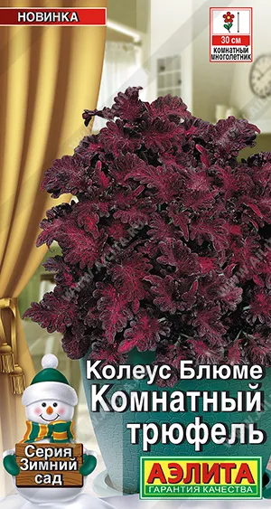 Колеус Блюме Комнатный трюфель
