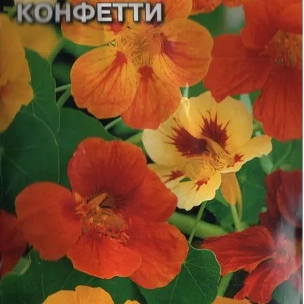 Настурция Конфетти