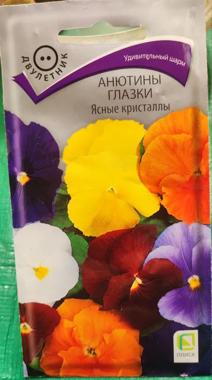 Анютины глазки (виола) Ясные Кристаллы