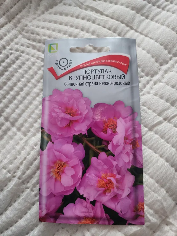 Портулак крупноцветковый Солнечная страна нежно-розовый