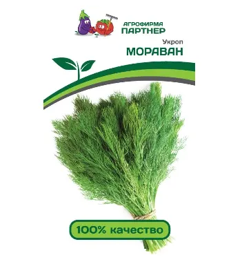 Укроп Мораван