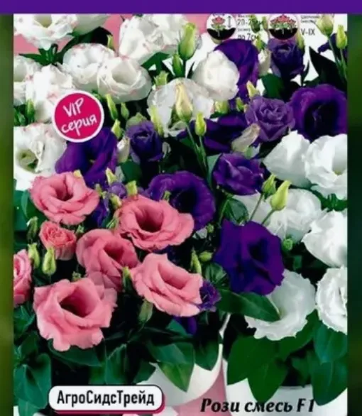 Эустома Рози смесь F1