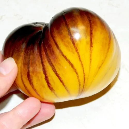 Томат Росомаха