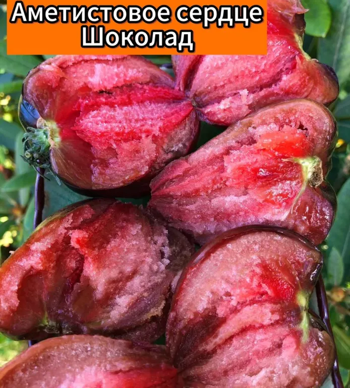 Томат Аметистовое сердце шоколад