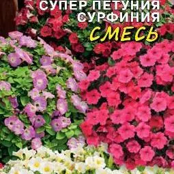Супер петуния Сурфиния Цунами смесь