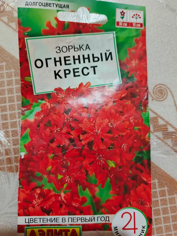 Зорька Огненный крест