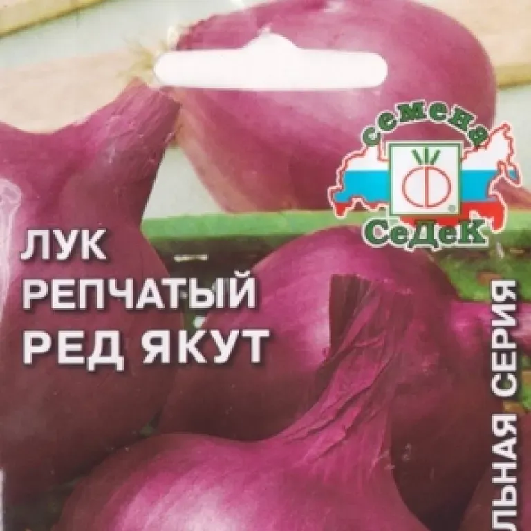 Лук репчатый Ред Якут